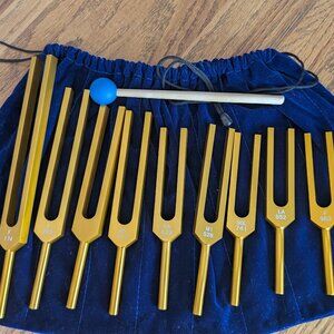 Tuning Fork Set